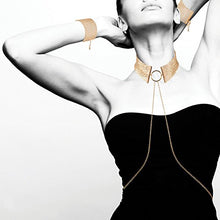 Load image into Gallery viewer, BIJOUX INDISCRETS DESIR METALLIQUE COLLAR